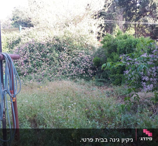 צינור מים תלוי על מתקן בגינה ירוקה